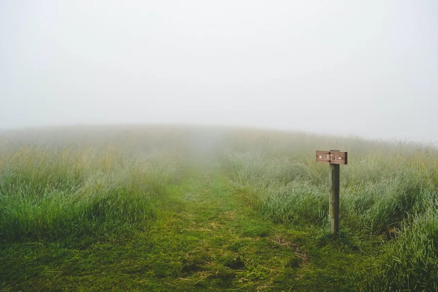 Choosing the Right Pentesting Team